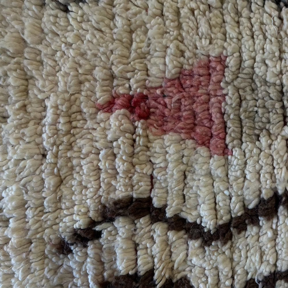 Najia Area Rug
