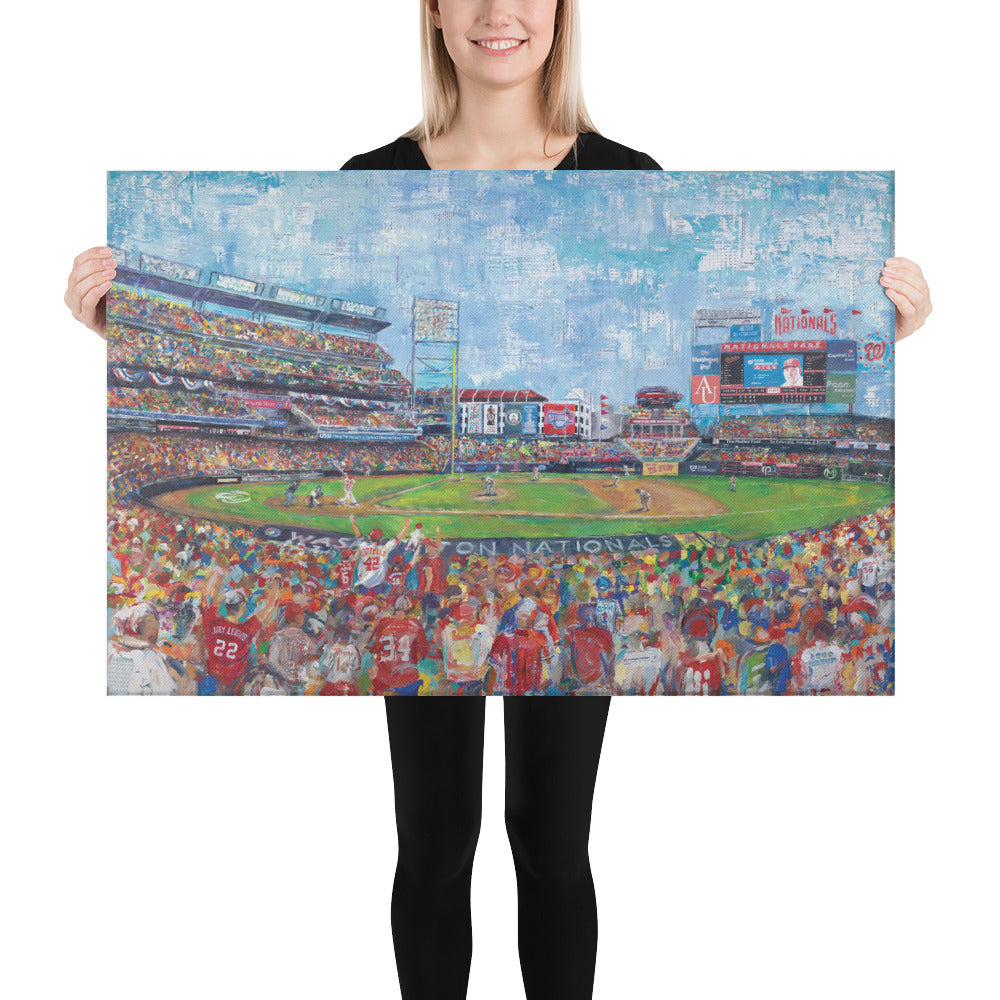 Nationals Fan